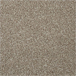 Carped Sacsoni Apollo Elite - Charente Beige