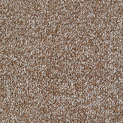 Carped Twist Carrick Cove - Beige 92