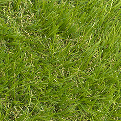 Essential Lawns Turkey 40mm Artificial Grass