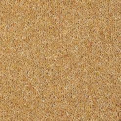 Fairbourne 80/20 Twist Carpet - Aur