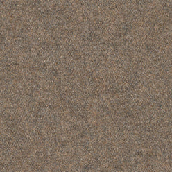 Carped Berber Achilles - Rhisgl