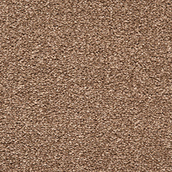 Carped Sacsoni ysblennydd - 825 Latte