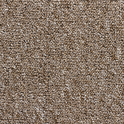 Carped Berber Achilles - Rhisgl