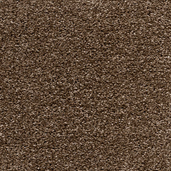 Super Colour Twist Carpet - Chestnut Tree 39