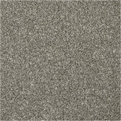 Apollo Elite Saxony Carpet - Coniston Slate