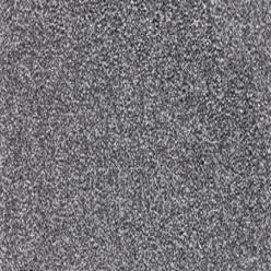 Splendid Saxony Carpet - 975 Pewter