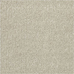 Apollo Elite Saxony Carpet - Cadet Grey