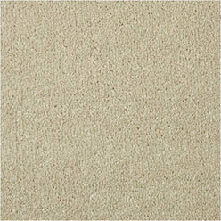 Apollo Elite Saxony Carpet - Pale Angora
