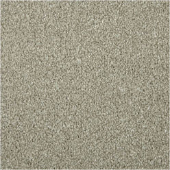 Apollo Elite Saxony Carpet - Peanut