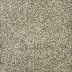 Apollo Elite Saxony Carpet - Pretzel