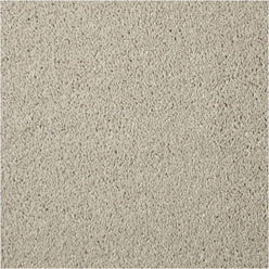 Apollo Elite Saxony Carpet - Soft Alabaster