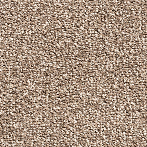 Canterbury Extra Twist Carpet - Pecan Pie