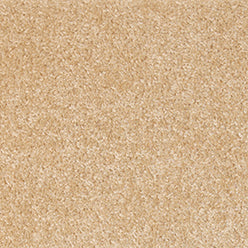 Dublin Twist Carpet - Berber