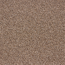 Dublin Twist Carpet - Mink