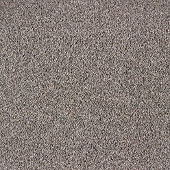 Dublin Twist Carpet - Mouse