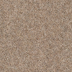 Fairbourne 80/20 Twist Carpet - Almond