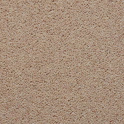 Summit Twist Super 80/20 Carpet - Fitz Roy