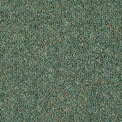 Fairbourne 80/20 Twist Carpet - Moss
