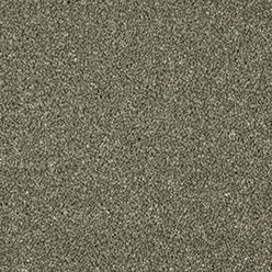 Inglewood Saxony Carpet - Willow