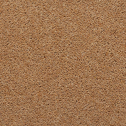 Summit Twist Super 80/20 Carpet - Saint Elias