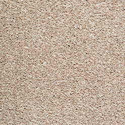Splendid Saxony Carpet - 680 Fawn