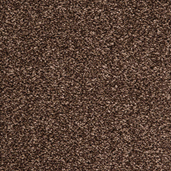 Splendid Saxony Carpet - 880 Chocolate
