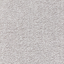 Splendid Saxony Carpet - 915 Platinum